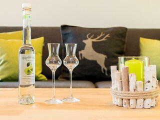 ferienwohnung-fieberbrunn-urlaub-bauernhof-8331