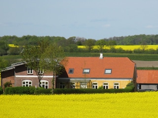 Blick aufs ganze Anwesen zur Rapsblüte
