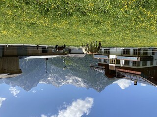 Unser Haus im Frühling