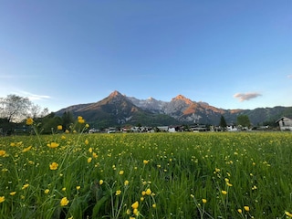 Die Loferer Steinberge im Frühling
