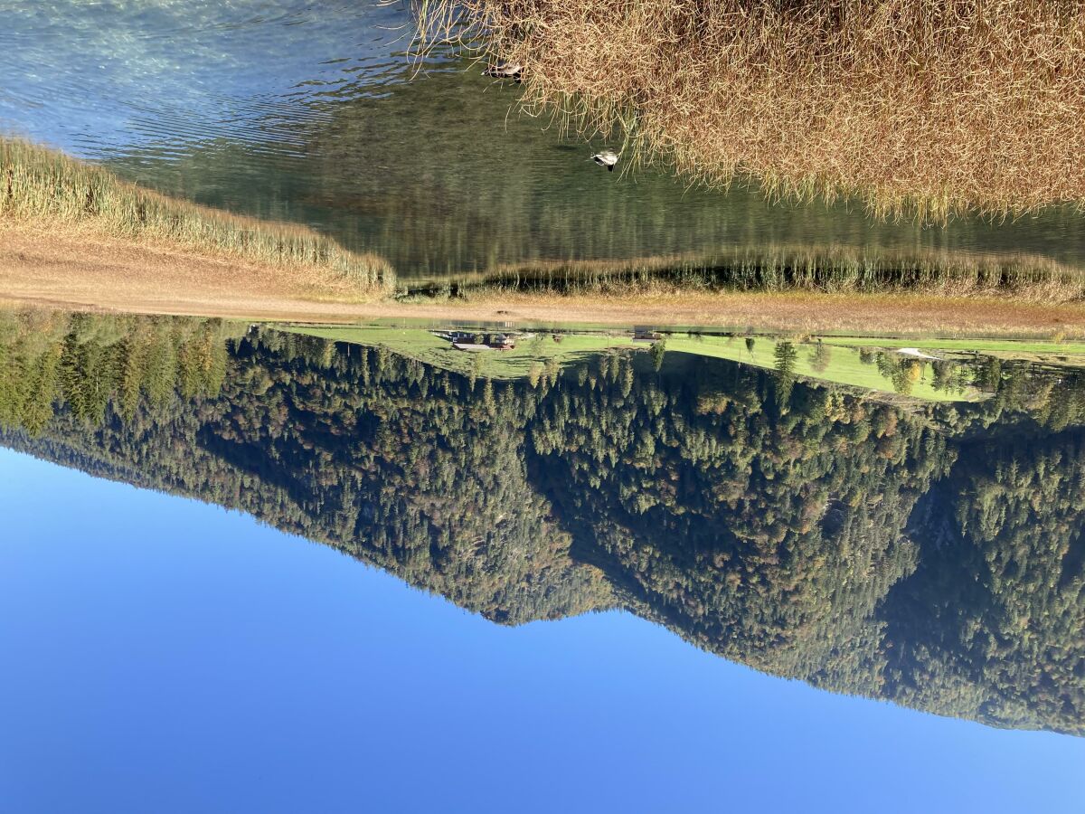 Herbstspaziergang am Pillersee