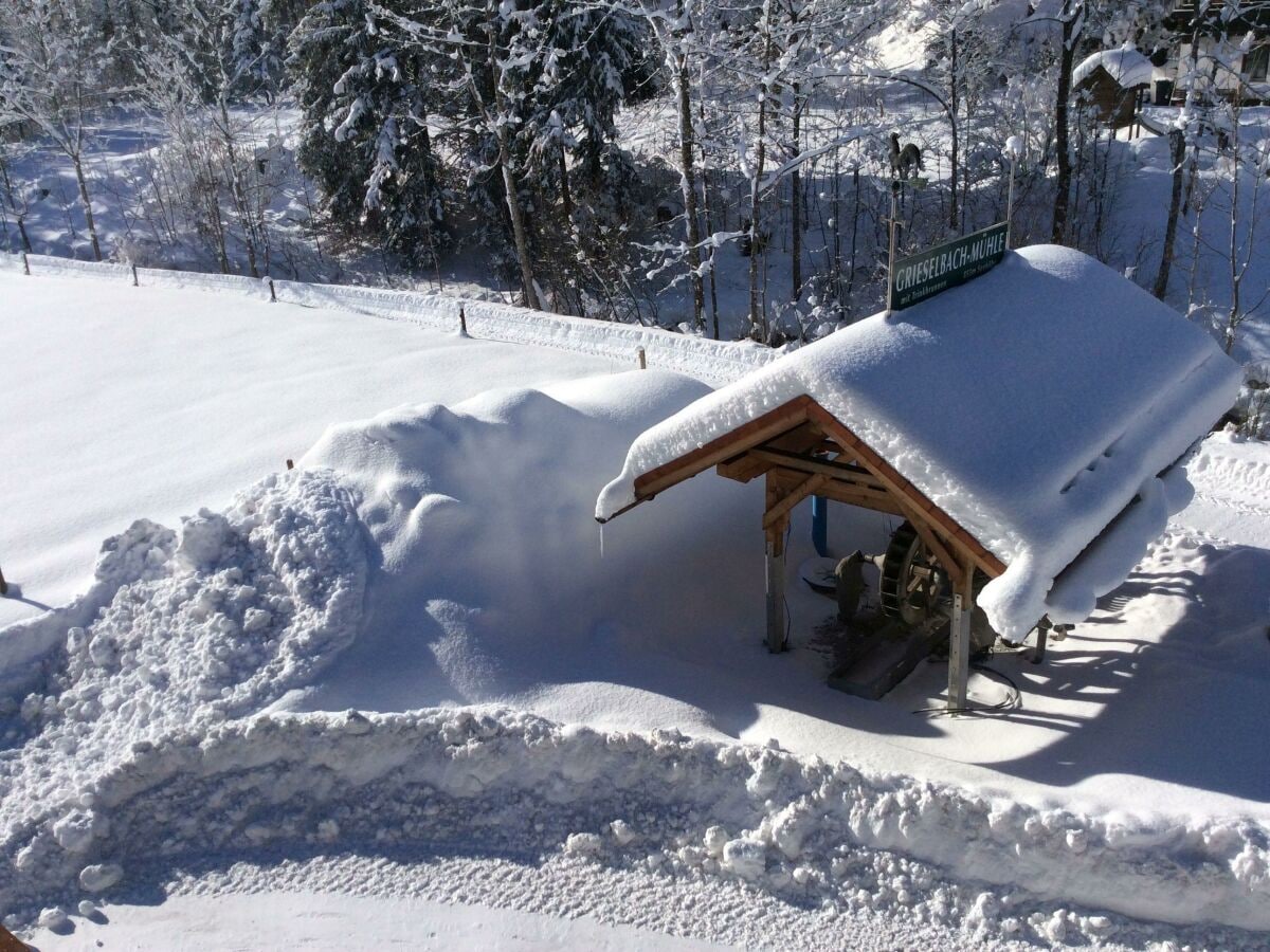 Hinterm Haus unser Wasserrad im Winter