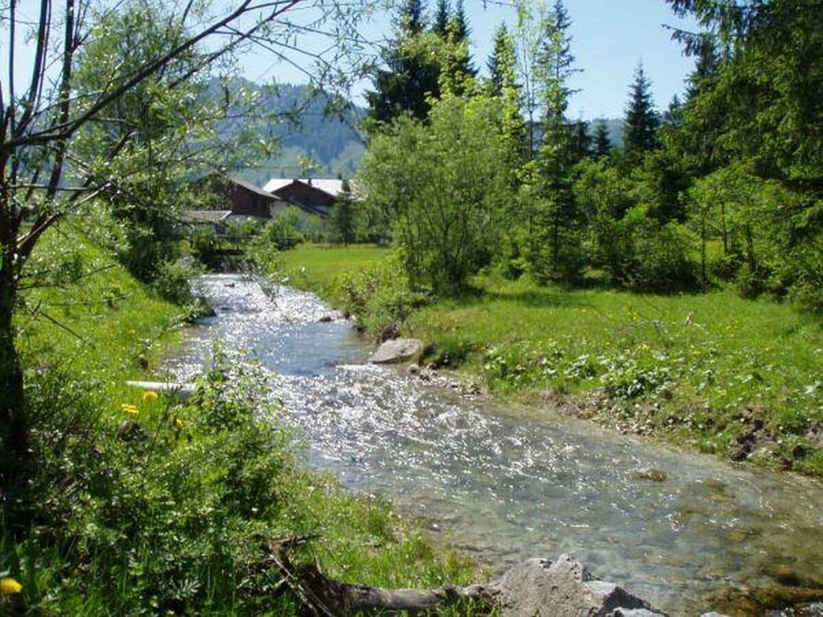 Ein Spaziergang hinter dem Haus am Bach entlang