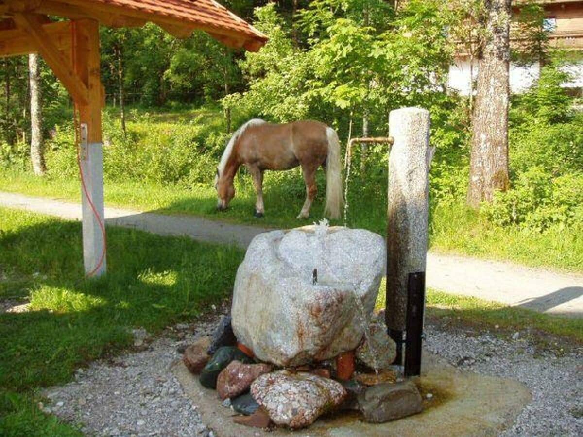 Brunnen mit unserm Rastplatz