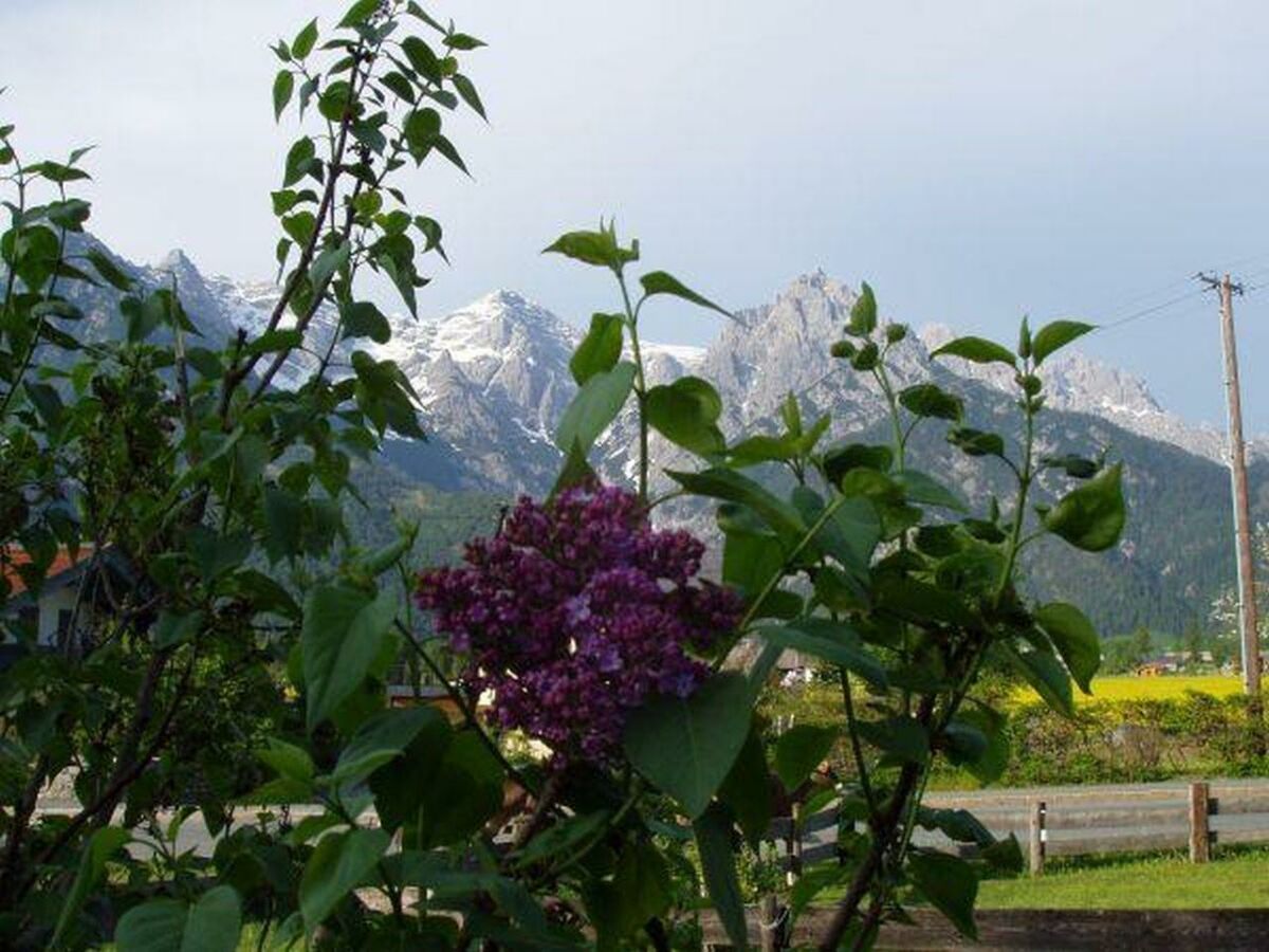 Spaziergang hinter dem Haus im Frühling