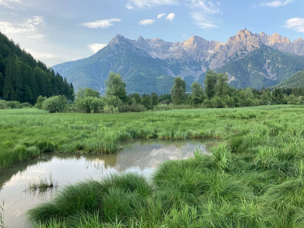 Naturschutzgebiet  Fleckenried