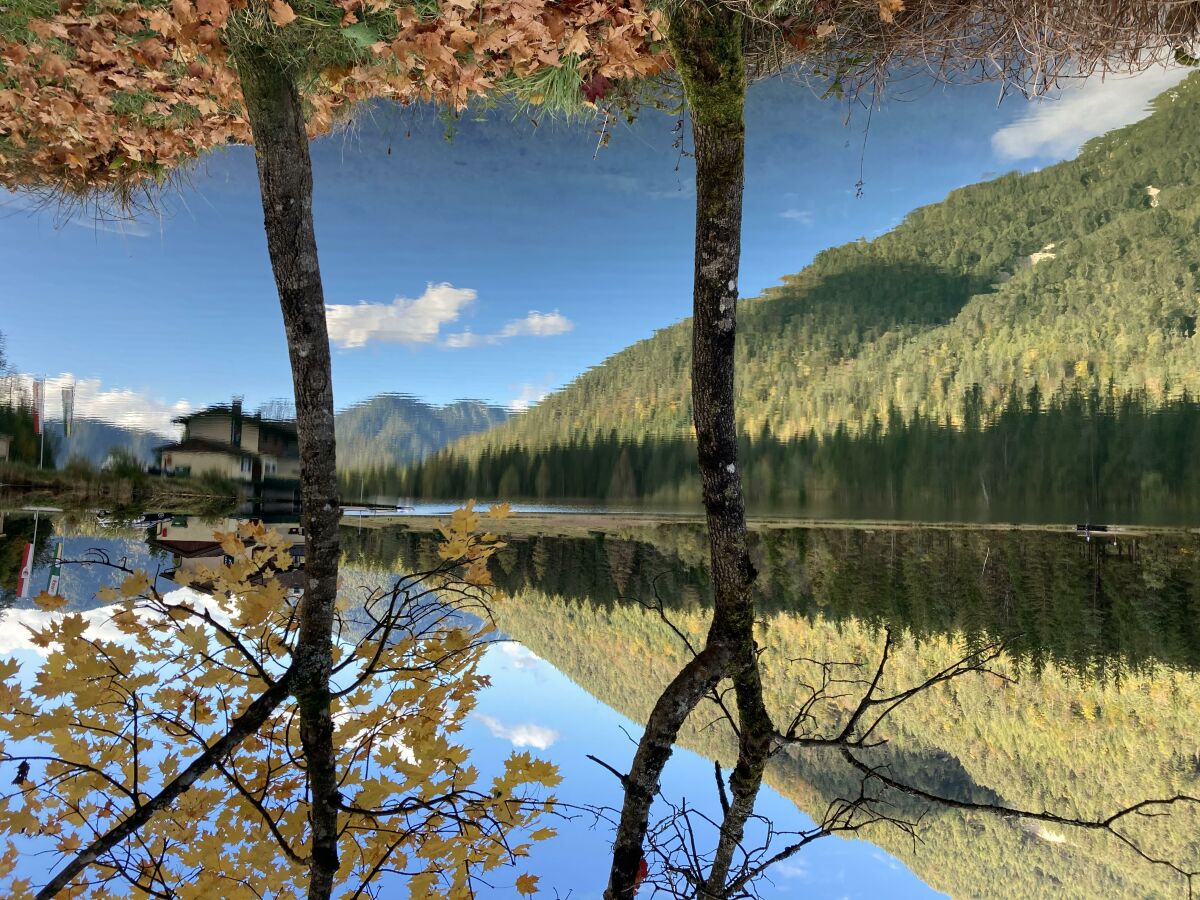 Spaziergang im Herbst am See