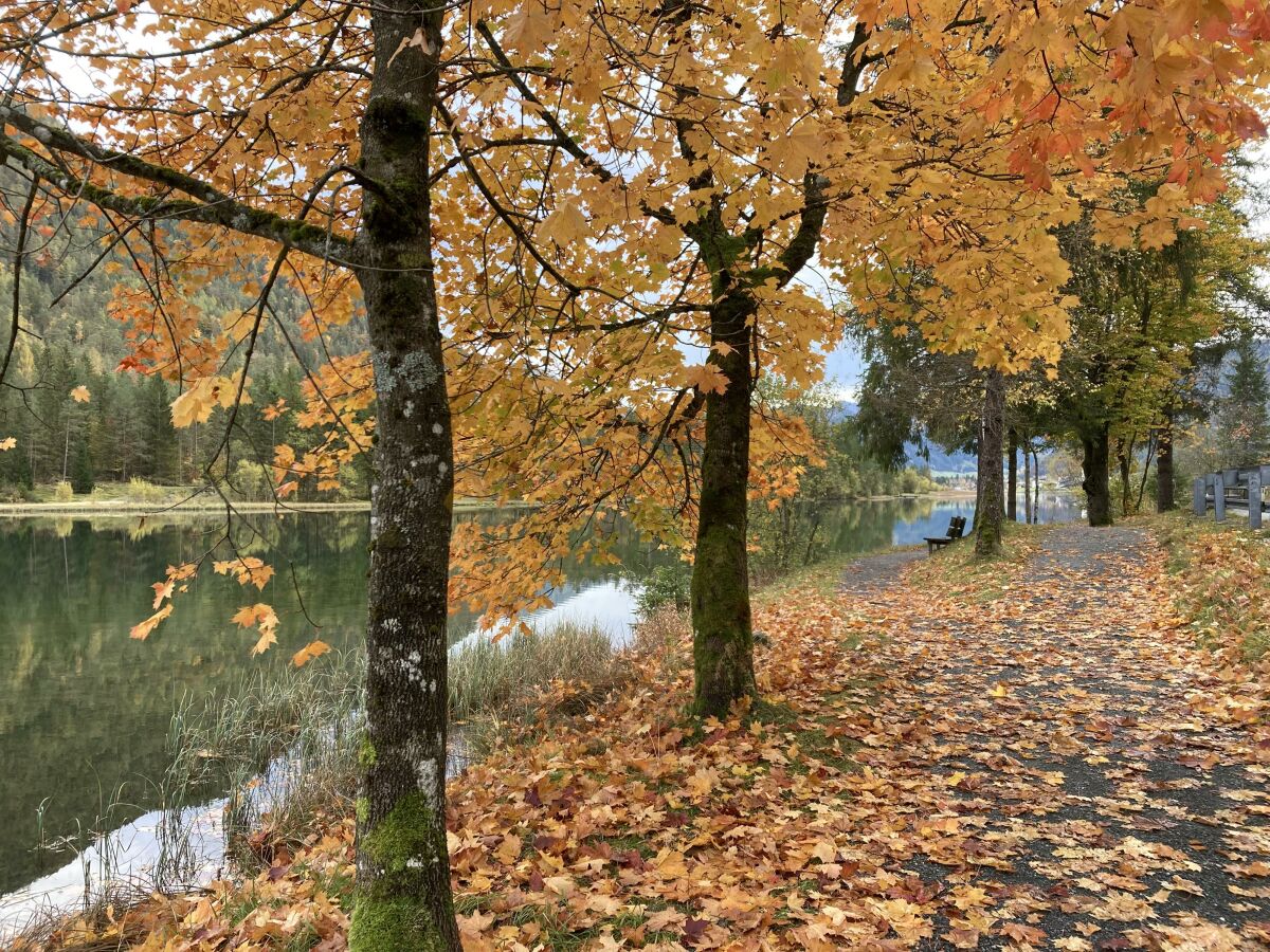 Die Blätter fallen am See