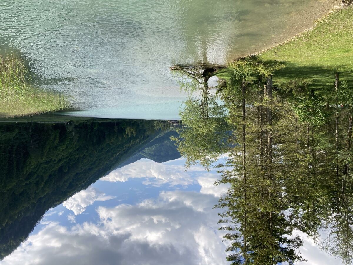 Stimmung beim Spaziergang am See