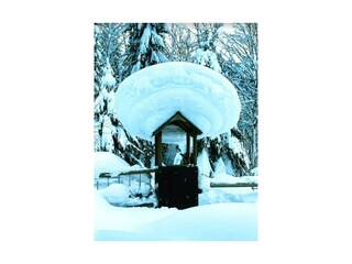 Snow2