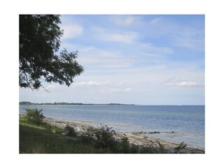 Vakantieappartement Kronsgaard Omgeving 23