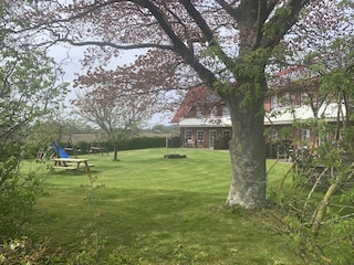 Ferienhaus Bude & Meer