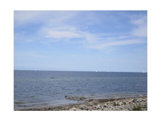 Vakantieappartement Kronsgaard Omgeving 34