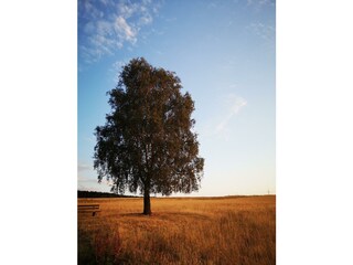 Greimerather Höhenweg