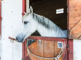 Bed & Breakfast Rovato Ambiente 21