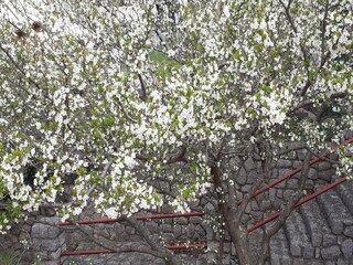 Appartamento Ledenice Registrazione all'aperto 1