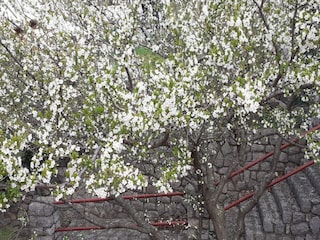 Appartamento Ledenice Registrazione all'aperto 2