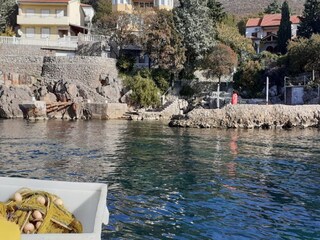 Appartamento Ledenice  26