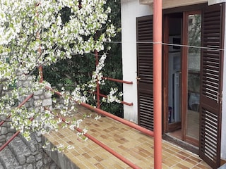 Apartment Ledenice  23