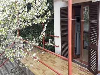 Appartement Ledenice  23