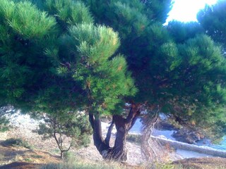 Apartamento Zavala  24