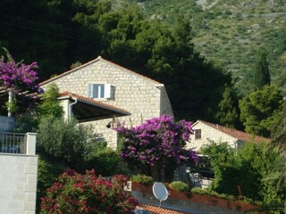 Apartamento Mlini  6