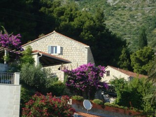 Apartment Mlini  9