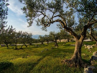 Villa Splitska Registrazione all'aperto 13