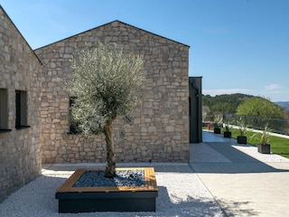 Villa Lupoglav Outdoor Recording 6