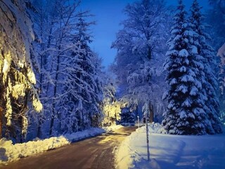 Holiday house Rudanovac  15