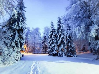 Holiday house Rudanovac  19
