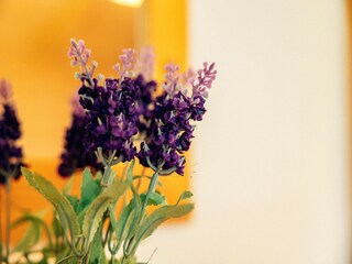 Apartment St. Primus  27