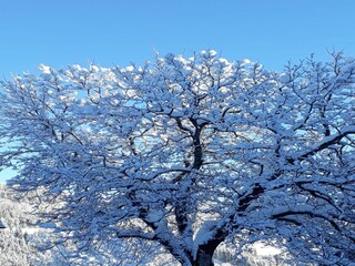 Casa per le vacanze Afritz am See Registrazione all'aperto 4