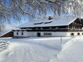 Ferienhaus Afritz am See Außenaufnahme 1