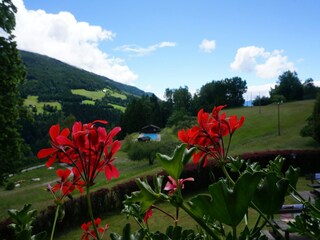Vakantiehuis Afritz am See Buitenaudio-opname 3