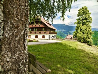 Ferienhaus Afritz am See Außenaufnahme 7
