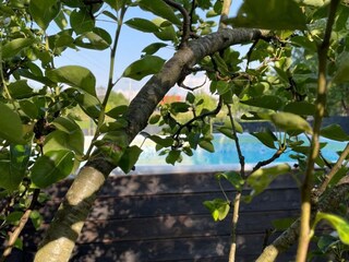 Casa de vacaciones Grabovac Grabación al aire libre 7