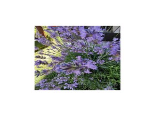 Casa per le vacanze Grabovac Registrazione all'aperto 16