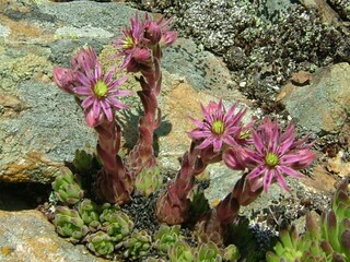 Appartamento Naturns Ambiente 19