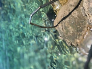 Ferienhaus Kanica  27