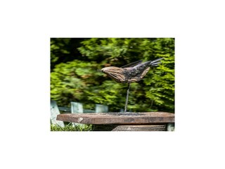 Vakantiehuis Kroatien Buitenaudio-opname 16