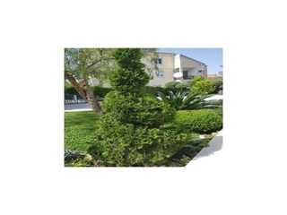 Apartment Zadar Außenaufnahme 7