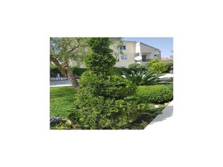 Apartamento Zadar Grabación al aire libre 4