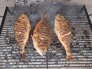 Casa de vacaciones Zagvozd  51