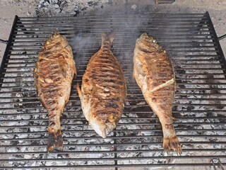 Vakantiehuis Zagvozd  52