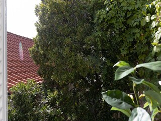 Apartamento Dubrovnik  14