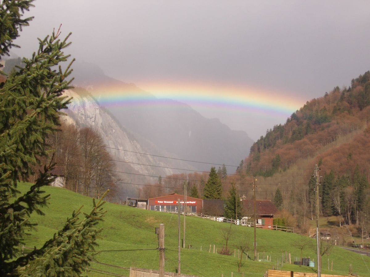 Blick vom Haus taleinwärts