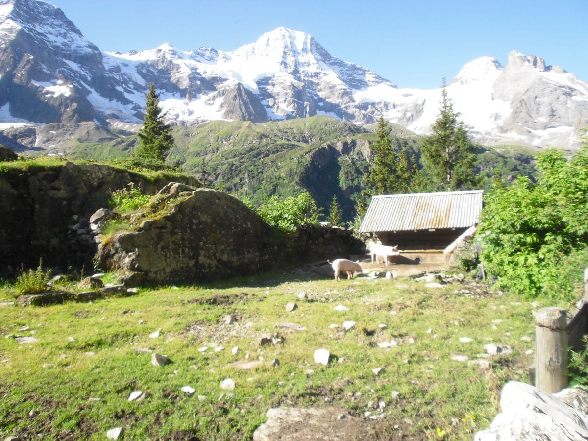 Wandern in idyllischer Bergwelt