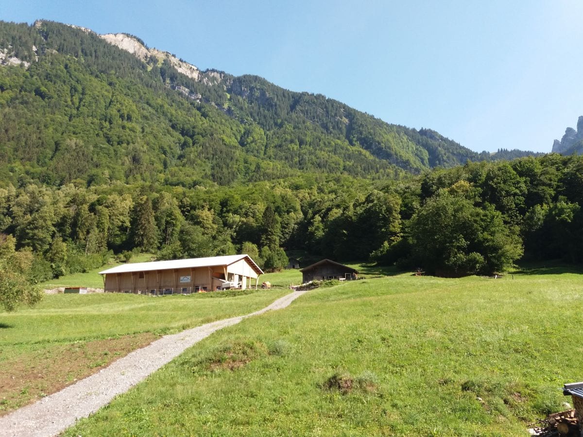 Ausicht Nordseite zur Schynige Platte