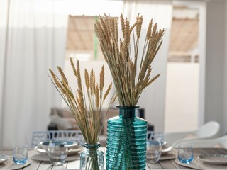 Villa Santa Maria del Focallo Caratteristiche 26